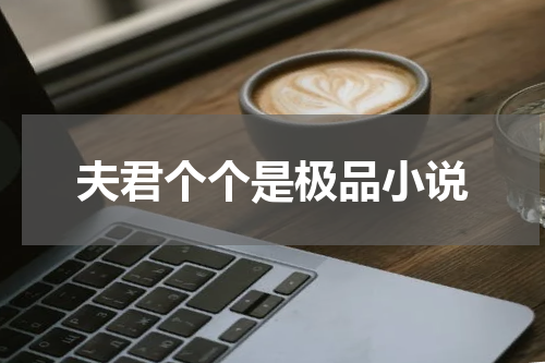 夫君个个是极品小说