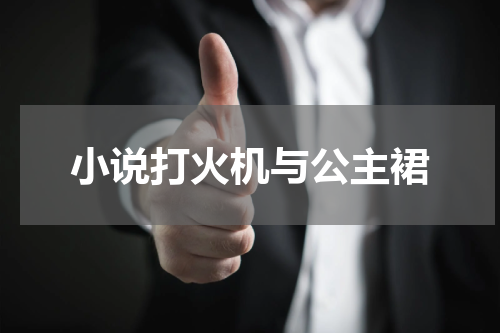 小说打火机与公主裙