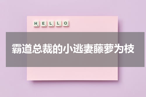 霸道总裁的小逃妻藤萝为枝