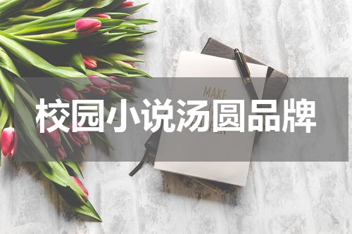 校园小说汤圆品牌