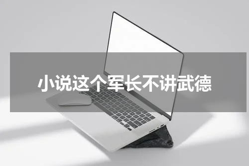 小说这个军长不讲武德