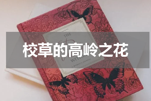 校草的高岭之花