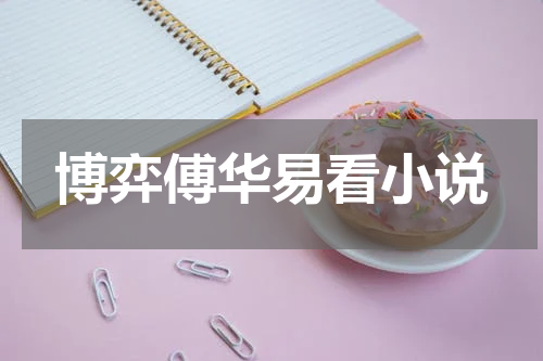 博弈傅华易看小说