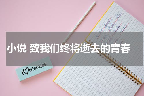 小说 致我们终将逝去的青春