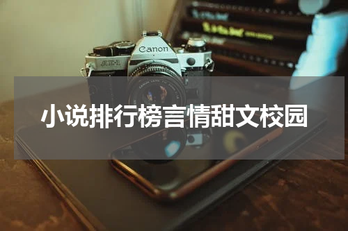 小说排行榜言情甜文校园
