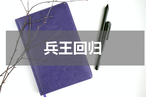兵王回归