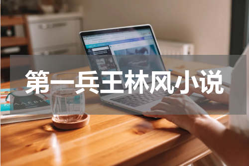 第一兵王林风小说