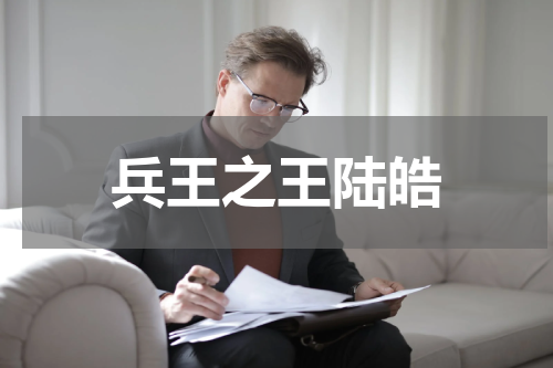 兵王之王陆皓