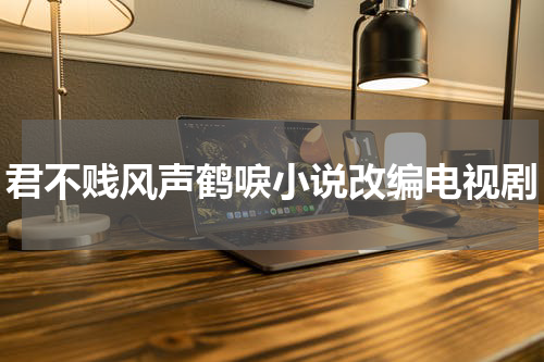 君不贱风声鹤唳小说改编电视剧