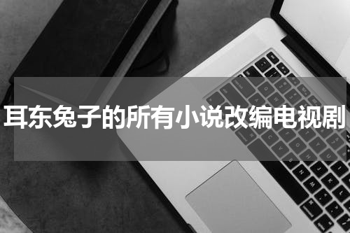 耳东兔子的所有小说改编电视剧