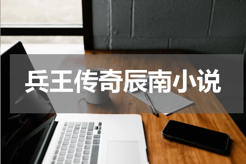 兵王传奇辰南小说