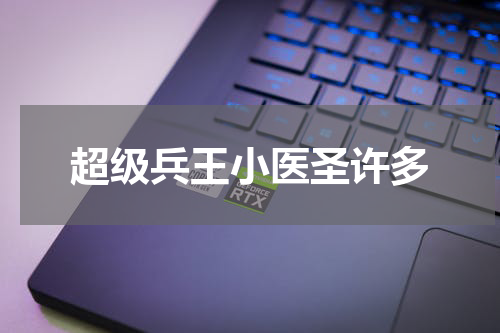 超级兵王小医圣许多