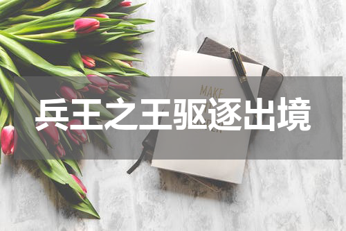 兵王之王驱逐出境
