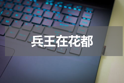 兵王在花都