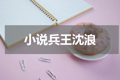 小说兵王沈浪