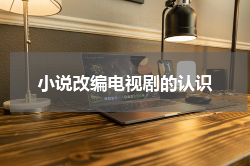 小说改编电视剧的认识