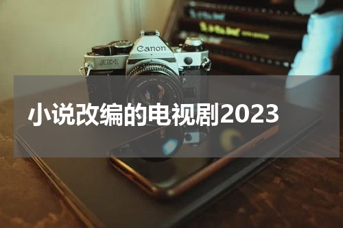 小说改编的电视剧2023
