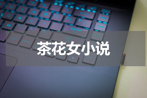 茶花女小说