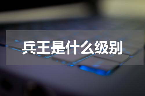 兵王是什么级别