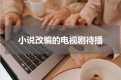 小说改编的电视剧待播