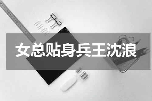 女总贴身兵王沈浪