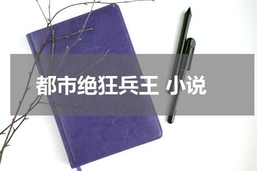 都市绝狂兵王 小说