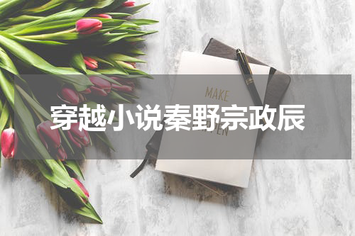 穿越小说秦野宗政辰