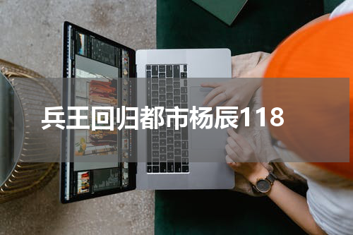 兵王回归都市杨辰118