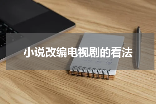 小说改编电视剧的看法