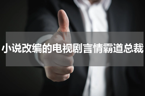 小说改编的电视剧言情霸道总裁