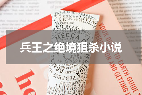 兵王之绝境狙杀小说