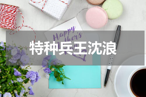 特种兵王沈浪