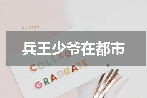兵王少爷在都市