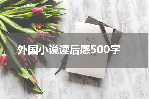 外国小说读后感500字