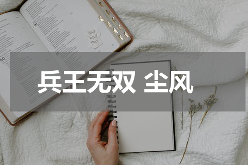 兵王无双 尘风