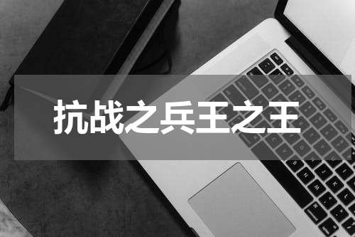 抗战之兵王之王