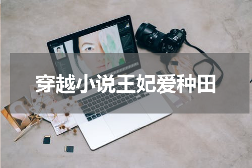 穿越小说王妃爱种田
