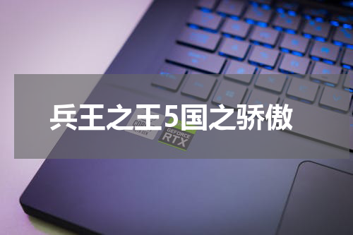 兵王之王5国之骄傲
