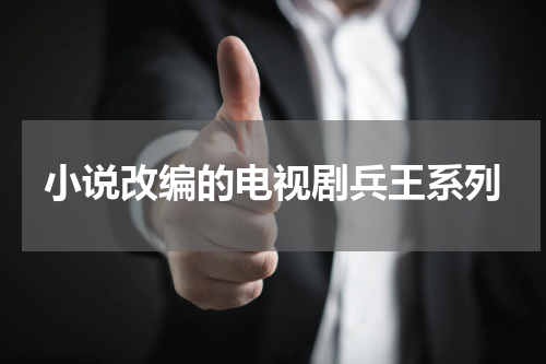 小说改编的电视剧兵王系列