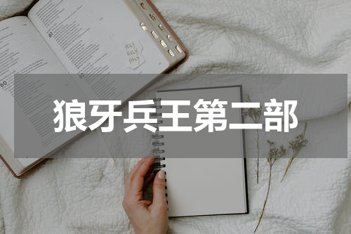 狼牙兵王第二部
