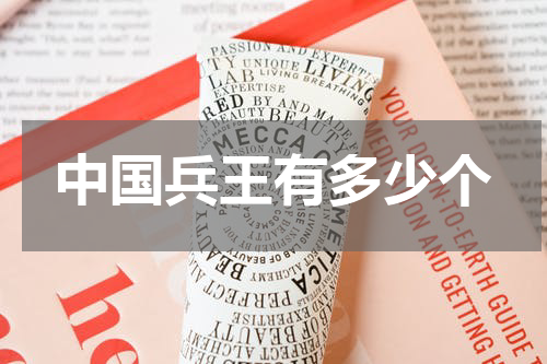 中国兵王有多少个