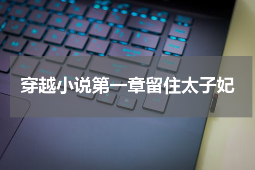 穿越小说第一章留住太子妃