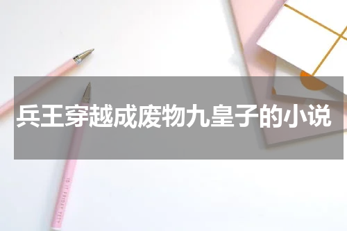兵王穿越成废物九皇子的小说