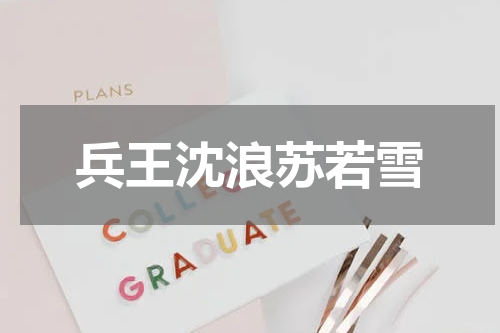 兵王沈浪苏若雪
