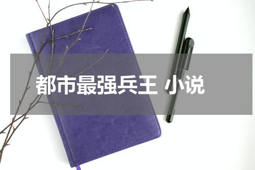 都市最强兵王 小说