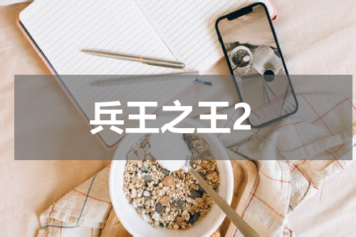 兵王之王2
