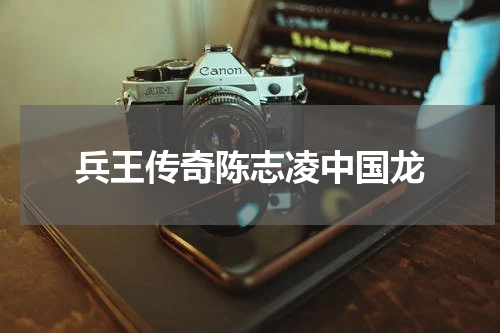 兵王传奇陈志凌中国龙