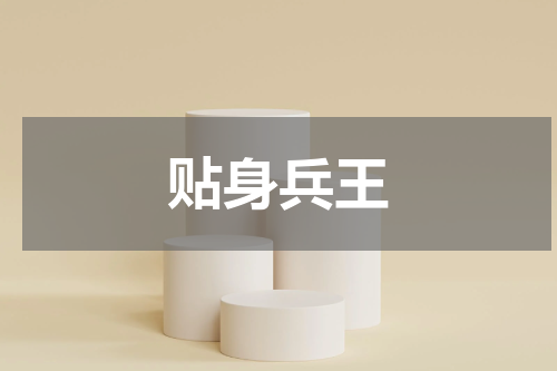 贴身兵王