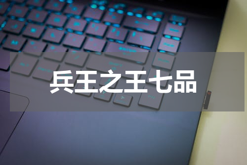 兵王之王七品