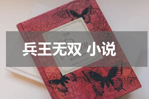 兵王无双 小说